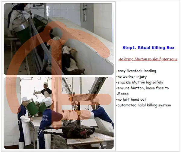 Fully automatic mutton slaughterhouse equipped with mutton slaughterhouse meat traceability system equipment