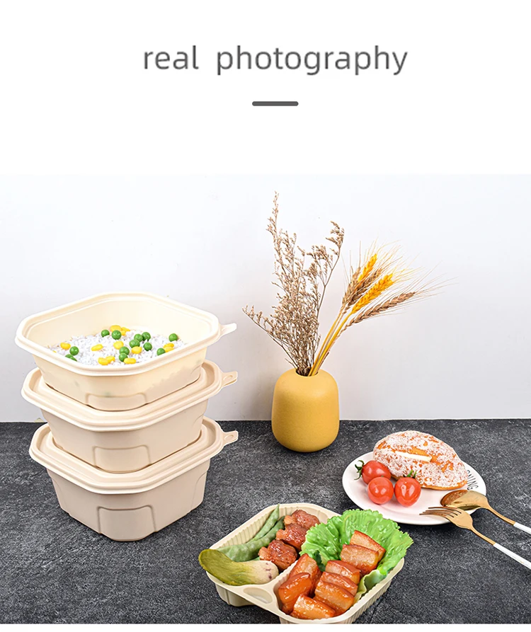 Eco Friendly Biodegradable Disposable Takeaway Bento Food Container ...
