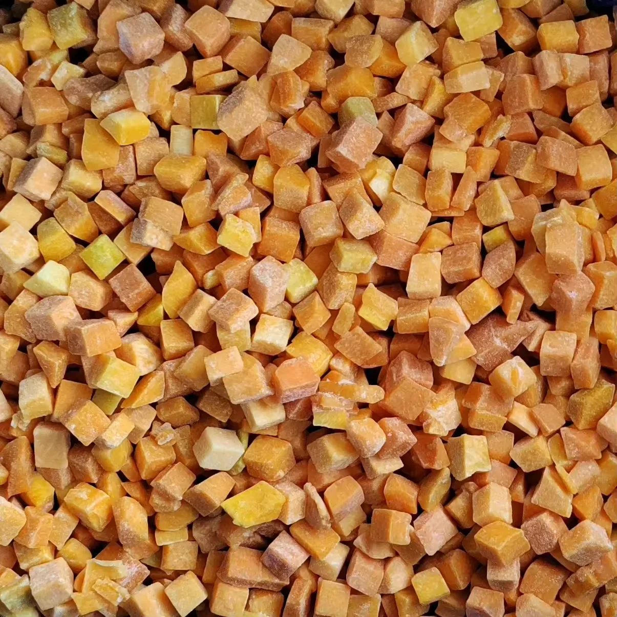 Prix d'exportation en vrac de 10 kg de dés de citrouille surgelés IQF