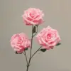 Rosa oscuro