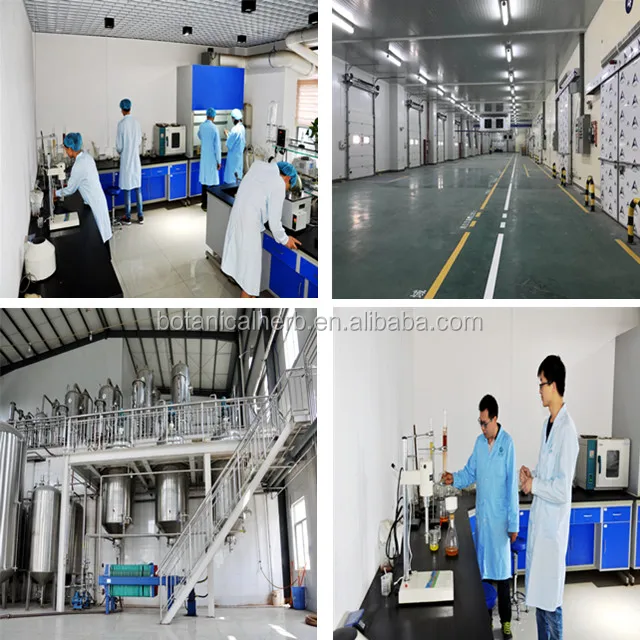 B.C.I SUPPLY Pure Natural Berberine HCL Top Level Coptis Chinensis Extract Berberine Powder Hcl 98%