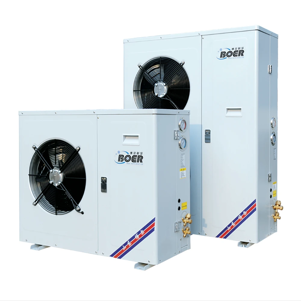 Industrial Cooling Refrigeration Container Panel Storage Chamber Fruit Vegetables Prefabricated Cold Rooms