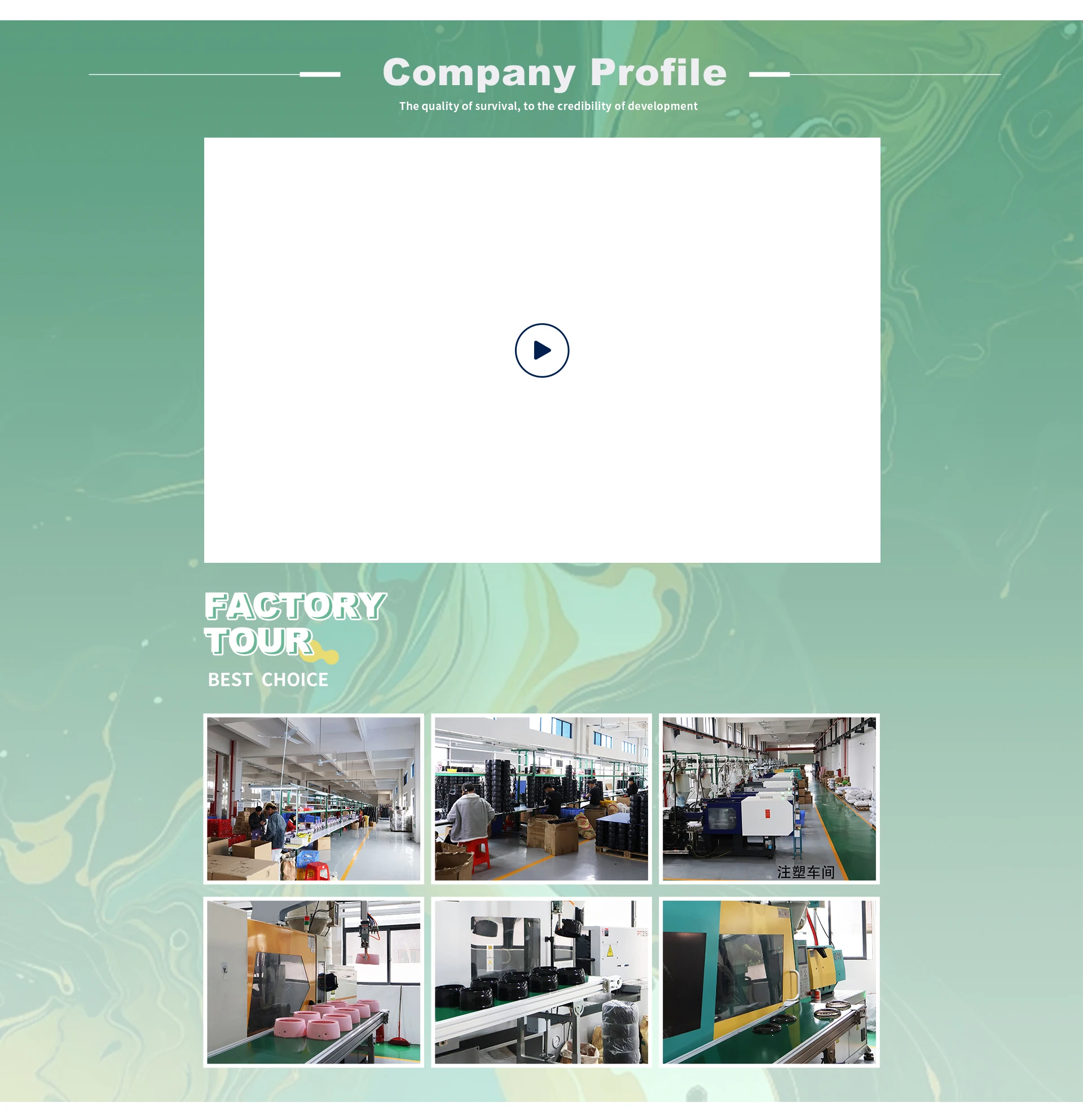 Company Overview - Zhongshan Yulong Electric Co., Ltd.