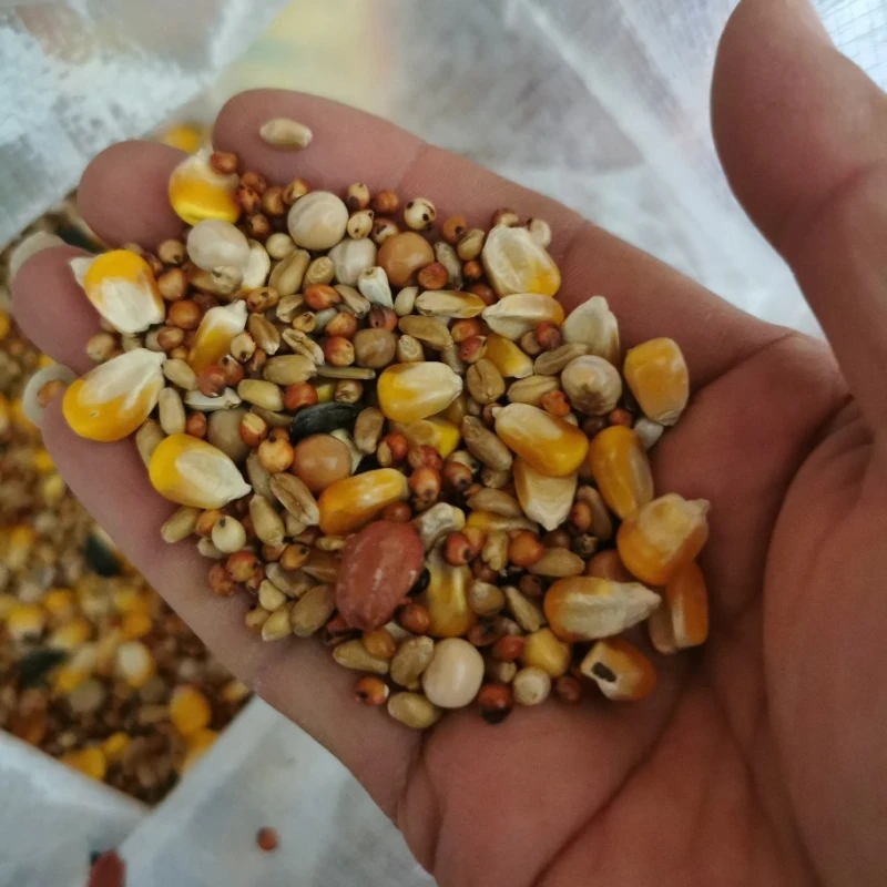 High Quality 2.5kg 50kg Pet Food Bird Seed Feed Pigeon Food Natural Mix