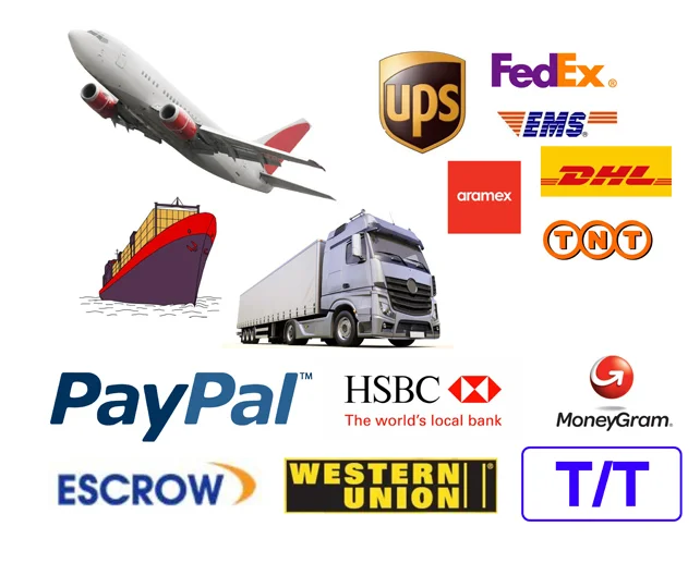 Payment & Shipment.png