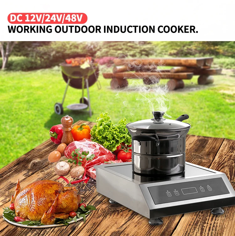 12v Battery Powered Solar Induction Cooker Dcic01 New Innovation Solar