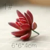SKU01