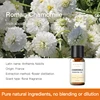 Olio Essenziale di Camomilla 10ml
