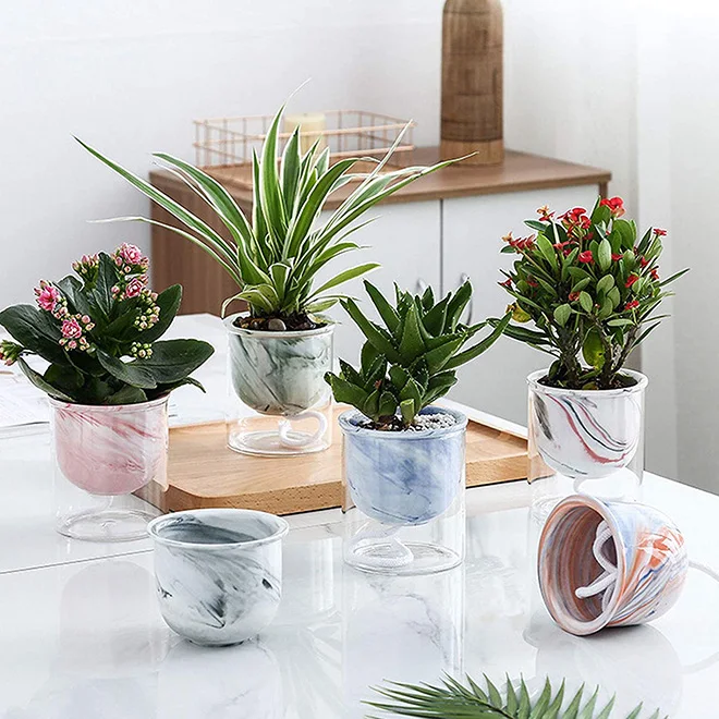 SP SRL プラントポット NEIGHBORHOOD 水耕栽培 SP SRL プラントポット