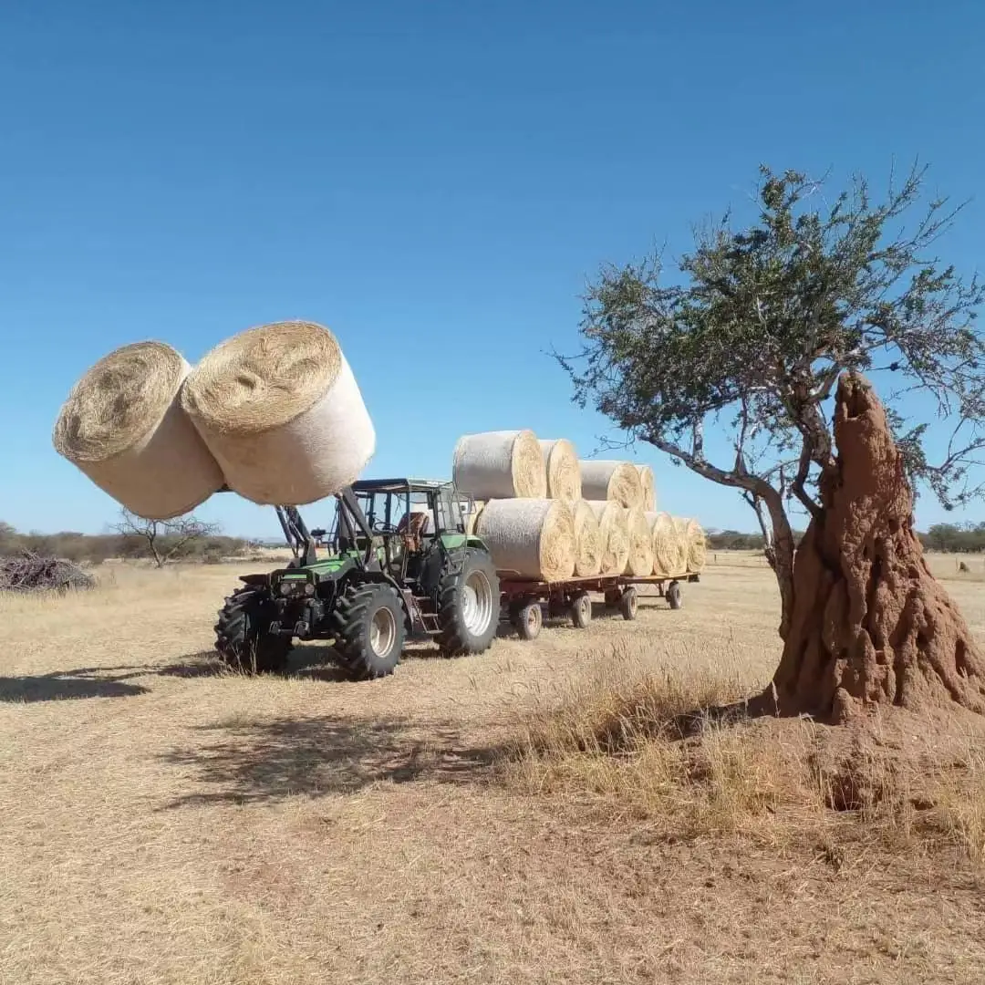 HDPE Bale Wrap Net Biodegradable Round Bale Hay Tarps Cover