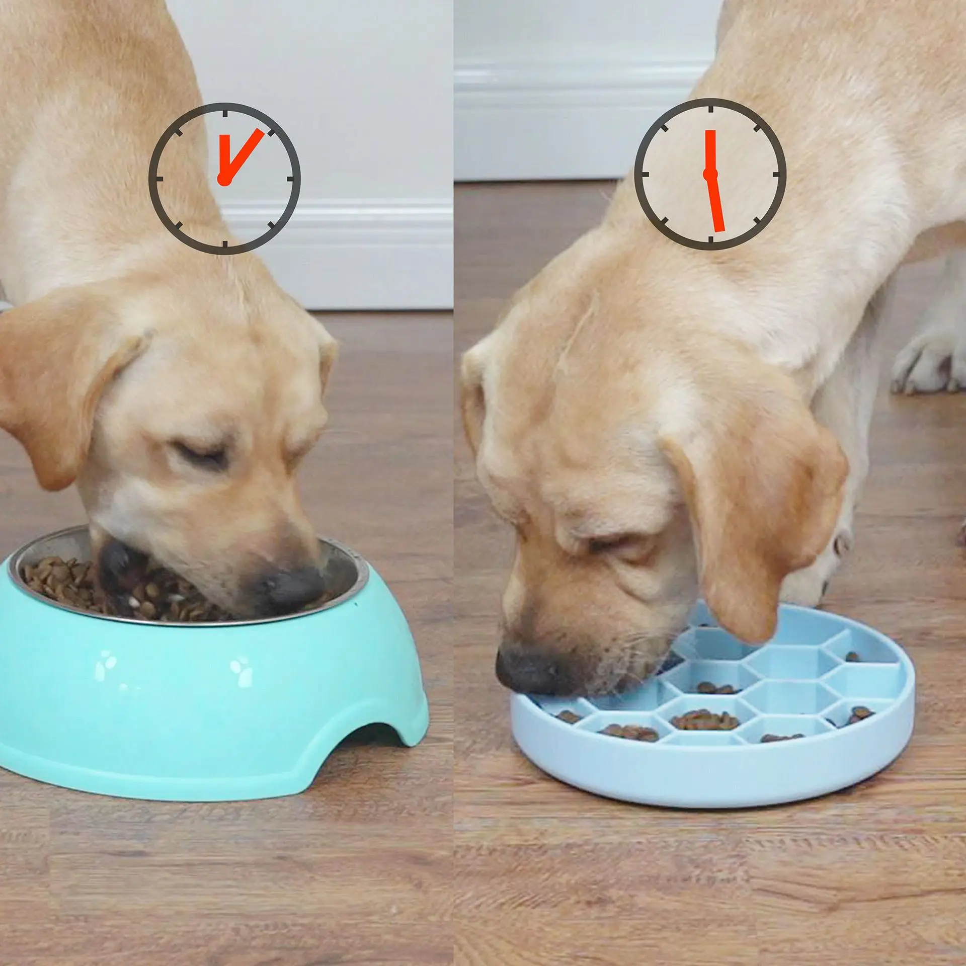 Pet Slow Feeding Bowl, Dog Anti-Choking Single Bowl, Non-Slip Silicone Suction Cup Honeycomb Slow Feeding Dog Bowl Food Plate factory