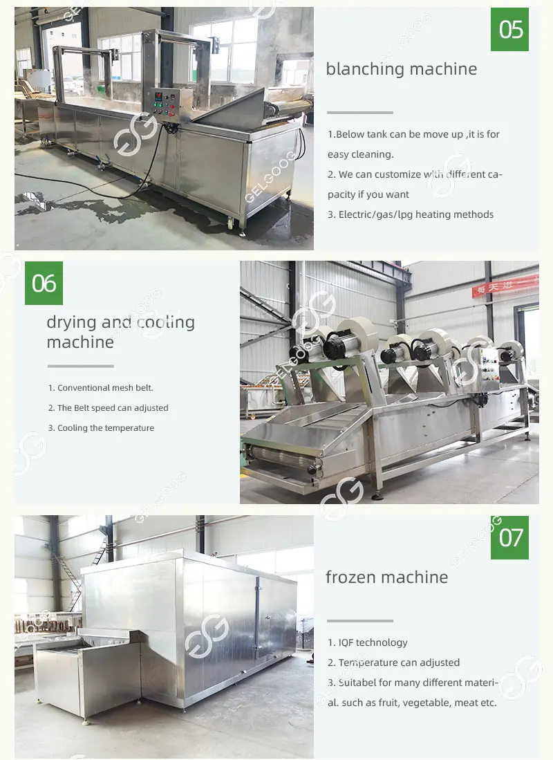 Barhi Date Fruit Freezer, 380V, sus304 - detail 12
