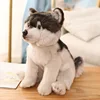 Lobo