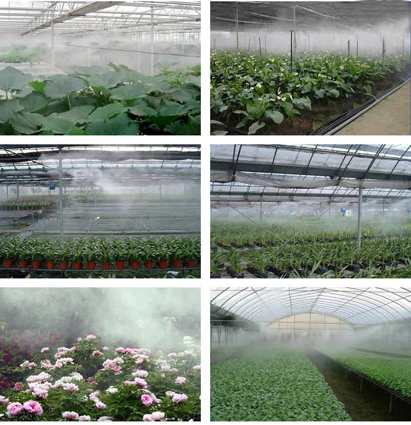 Misting System Mushroom 100pcs  Mist Nozzle Water Spray Cooling System