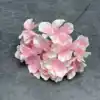 New - Pink with branches