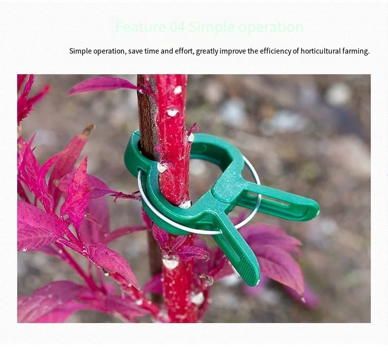 Fixed clip rose climbing vine tomato cucumber buckle seedling vegetable flower stand pole plant binding vine clip support frame manufacture