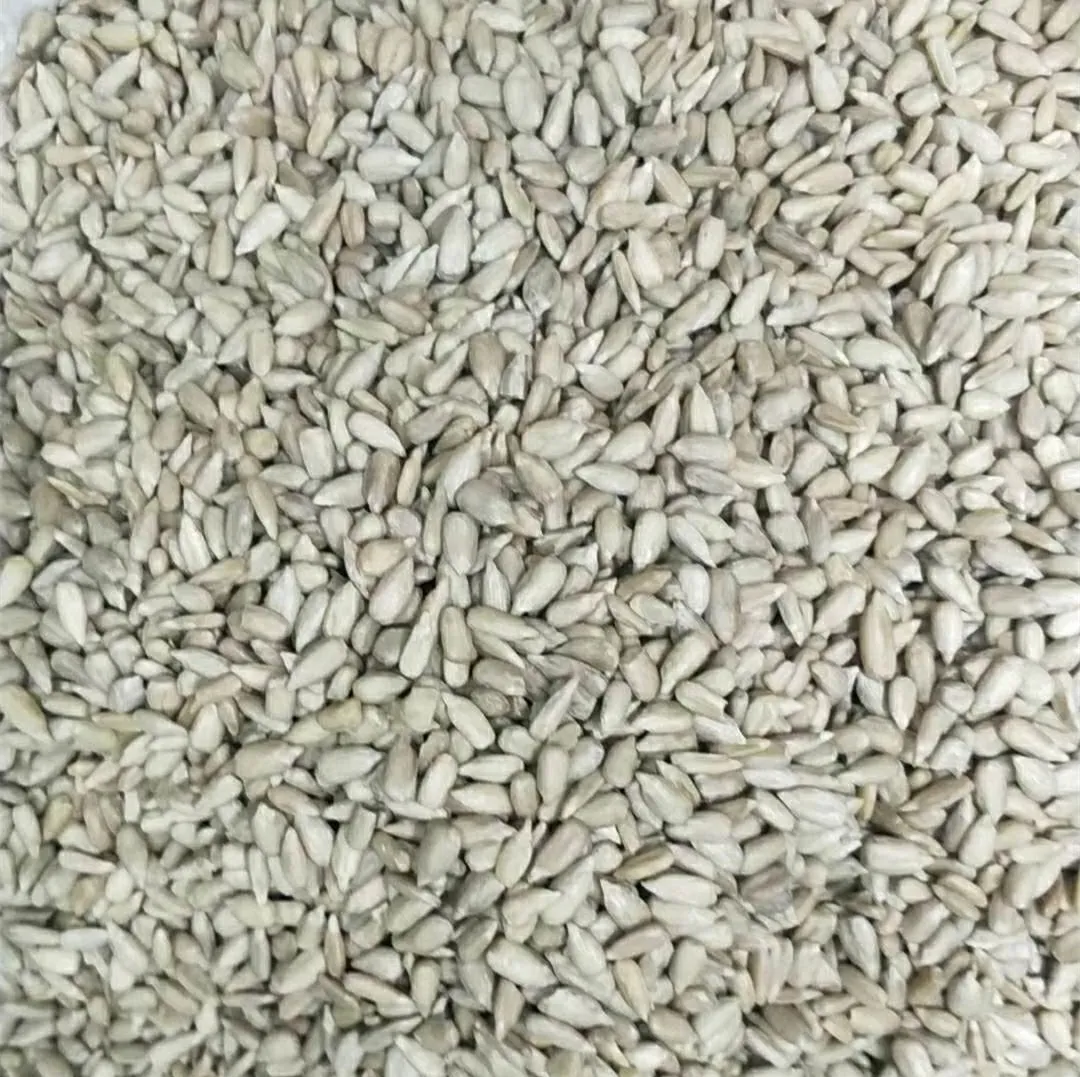 Wholesale Shelled Sunflower Seeds import chinese bulk best quality new white raw organic sunflower seed kernel protein