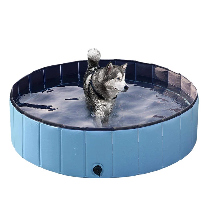 Ванночка для собак. Надувные собака для бассейна. Картинка ванночка для собаки.