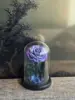 Galaxy Round Head Little Prince