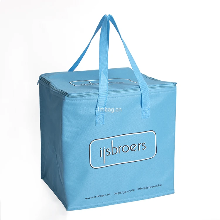 Custom Food Thermal Insulation Bags For Ice Cream Cooler Bag Buy Ice