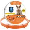 Orange Cat 38cm