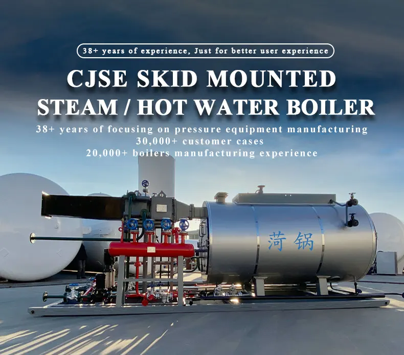 Cjse 1 Ton 2 Ton 3 Ton 4 Ton Steam Boiler Fuel Oil Diesel Natural Gas