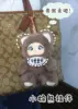 Dark brown bear