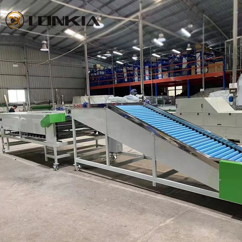 Commercial Sorting Grading Machine Avocado Tomato Apple Mango Melon Potato Size Sorting Machine
