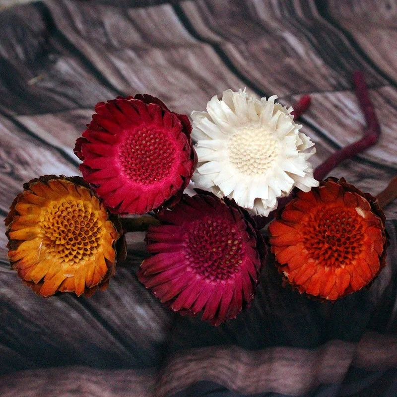 Natural Dried Flower Bouquet ,Natural Flowers Bouquet Daisies .Dried  Daisies, Home Furnishings,DYI Flower Arrangement