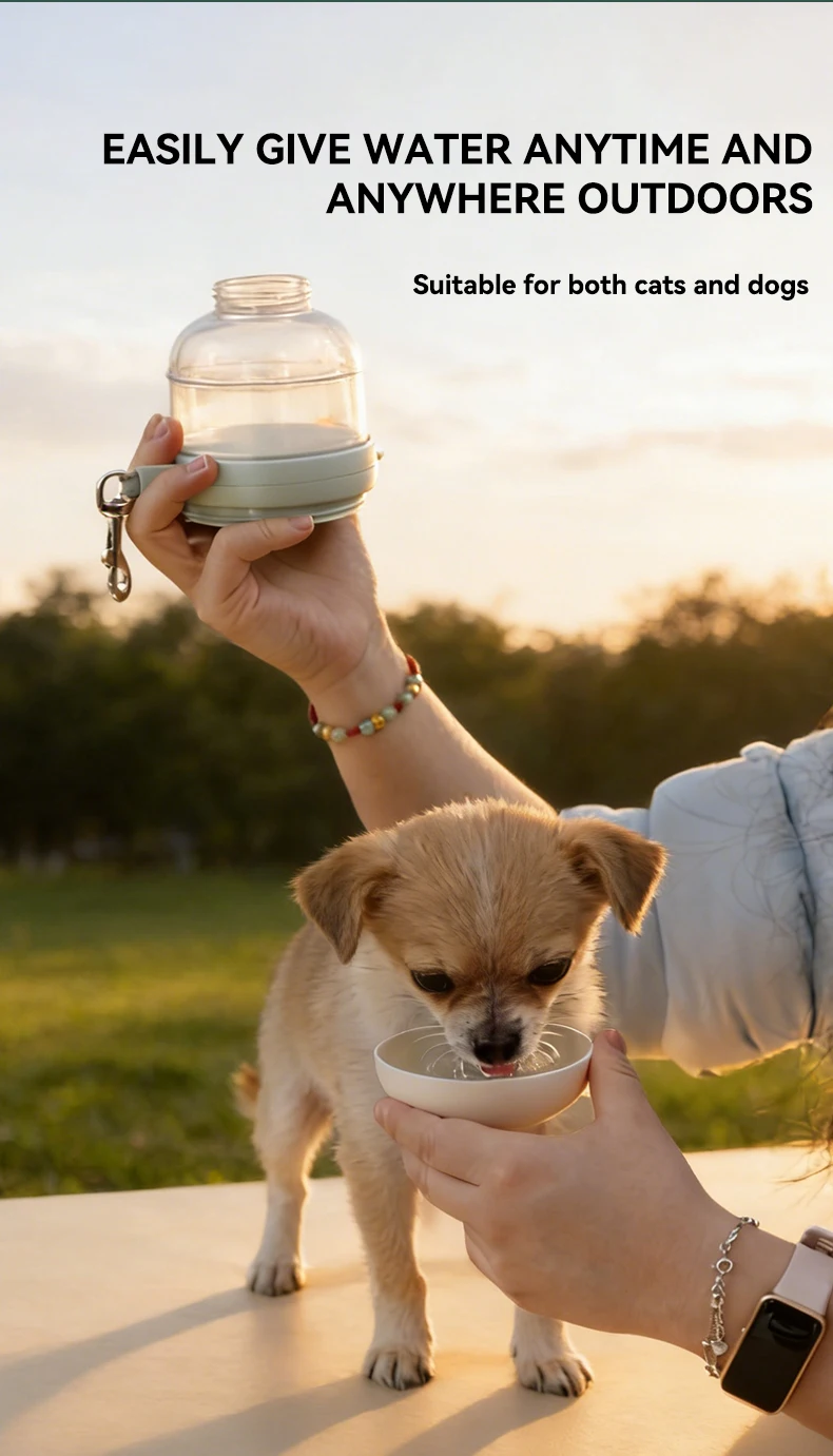 New 3-in-1 Pet Water Cup Travel Pet Supplies Dog Drinking cat Eating Portable Outside Water Cup manufacture