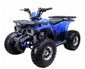 
 4-колесный квадроцикл для взрослых mini 500cc atv 4x4 4x2 1000cc 300cc пляжный мотоцикл  