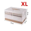 XL