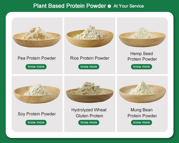 Vegetable Protein Superfood 60 Green Pumpkin Seed Protein Powder Buy