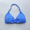 Electri Blue bra