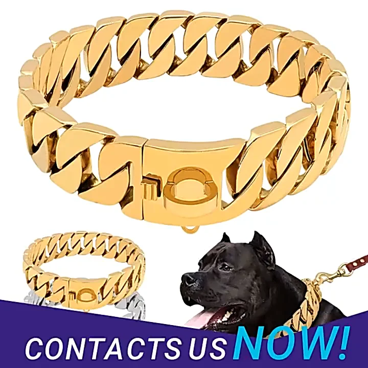 custom chain dog collars