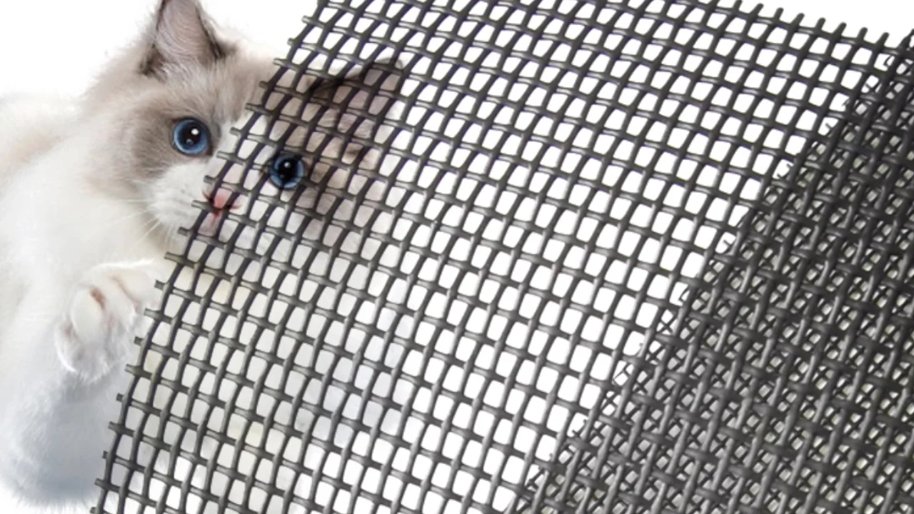 Anti Cat Clawing Proof Pvc Coated Polyester Pet Resistant Screen Mesh