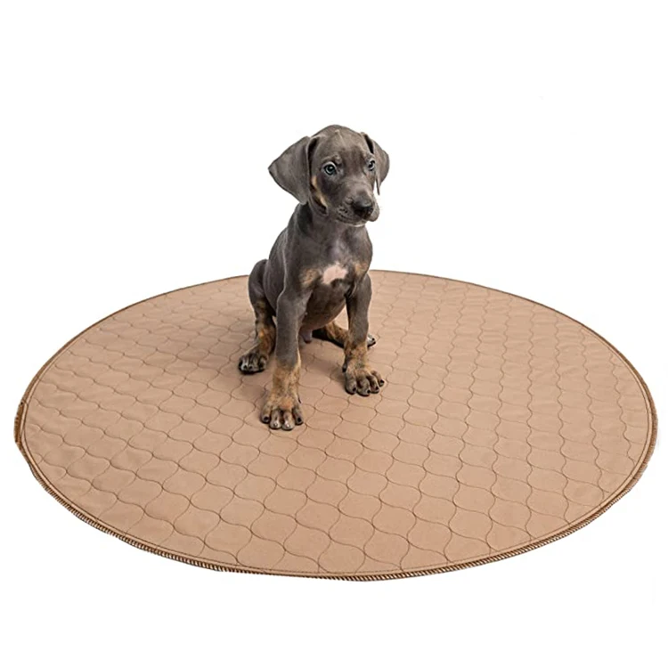 Best 20 Reusable Puppy Pee Pads Manufacturer In Canada