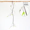 2#  Piccola felce da 90 cm