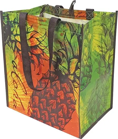 Foldable Reusable Bag for Grocery Groceries Promotion Eco-friendly Non Woven Design Shop Shopping Bag Grocery Bag Plain Foldable factory