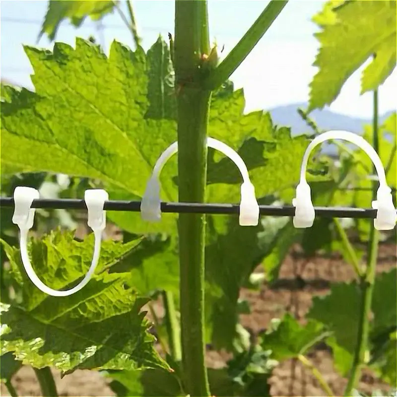 100 Clips De Jardin Noir - Fixation Plantes Grimpantes, Vignes - Plastique Souple 6cm - Pour Tomates, Raisins