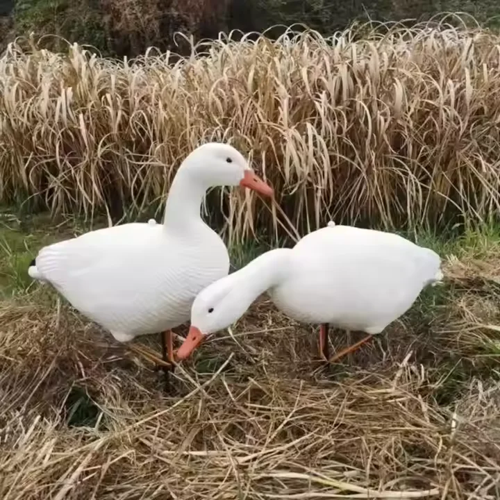 EVA or XPE Foam Hunting Goose Decoys Snow Goose Decoys 3D Deer Hunting Decoys  for Wild Hunting OEM