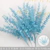 Blue five-pronged eucalyptus