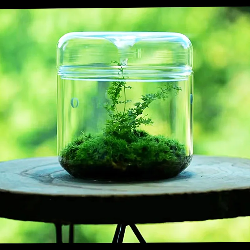 Classic Style Glass Geometric Terrarium Box Glass Terrarium Vase with Lid Creative Terrarium Flower Pot for Plants