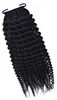 Kinky Curly