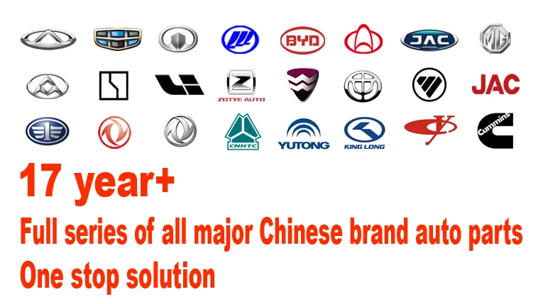 Hot Sale MG Auto Parts 10035485 Shock Absorber