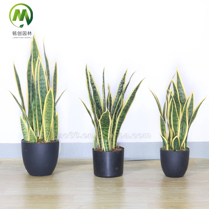 Customized Style Green Foliage Bonsai Snake Plant Simulation Garden  Landscape Decoration Sansevieria Trifasciata Prain Plastic