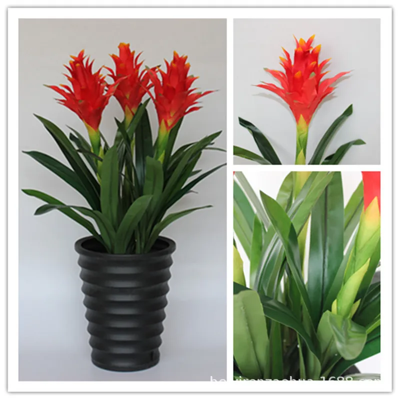 Decorative Flowers Wreaths And Plants Artificial Flowers Real Touch