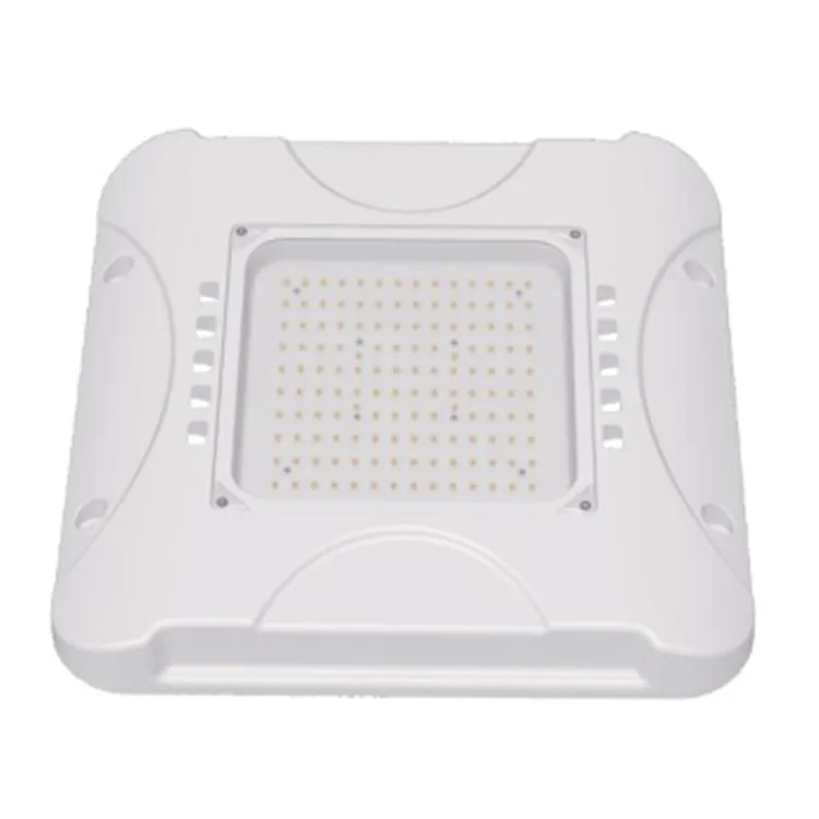 LED Canopy Light.jpg