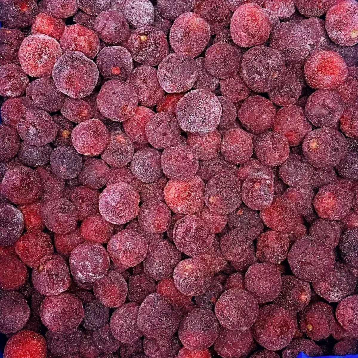 China Supplier IQF Frozen Fruits Healthy Natural Frozen Bayberry