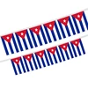string flag
